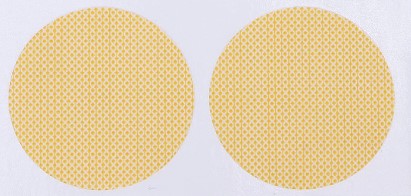 Men Disposable Nipple Protectors - Tabare